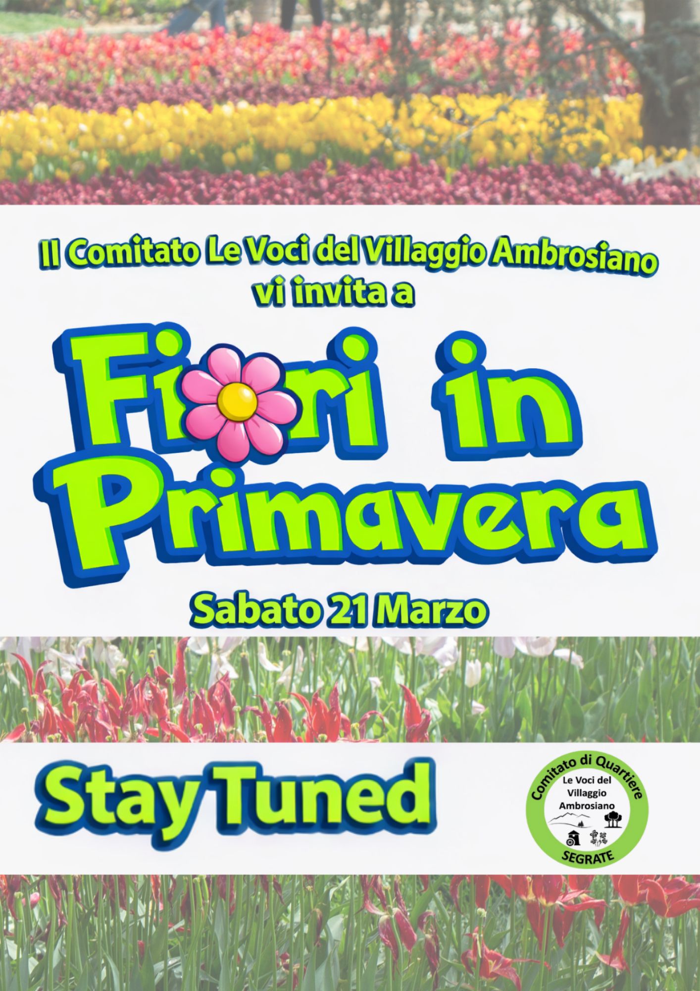 Anteprima